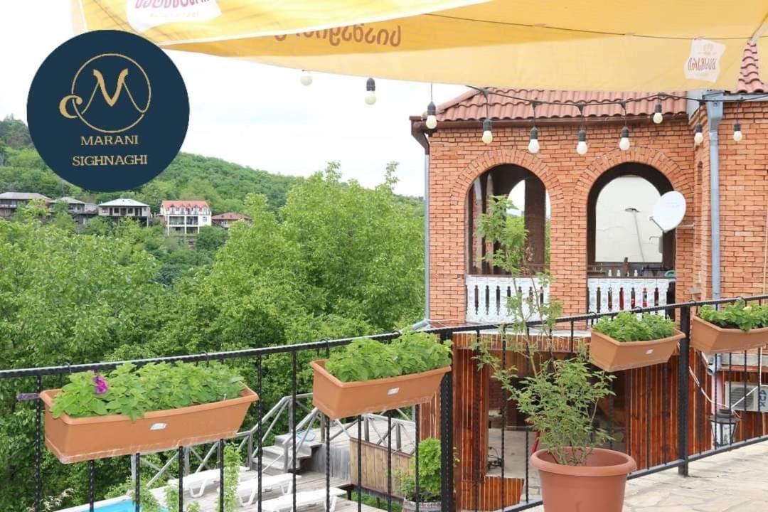 Guest House Marani 西格纳吉 外观 照片