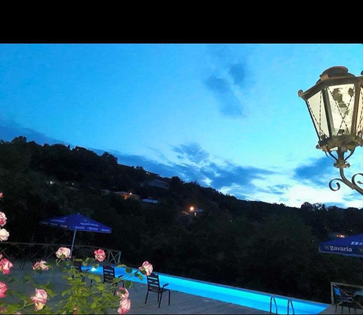 Guest House Marani 西格纳吉 外观 照片